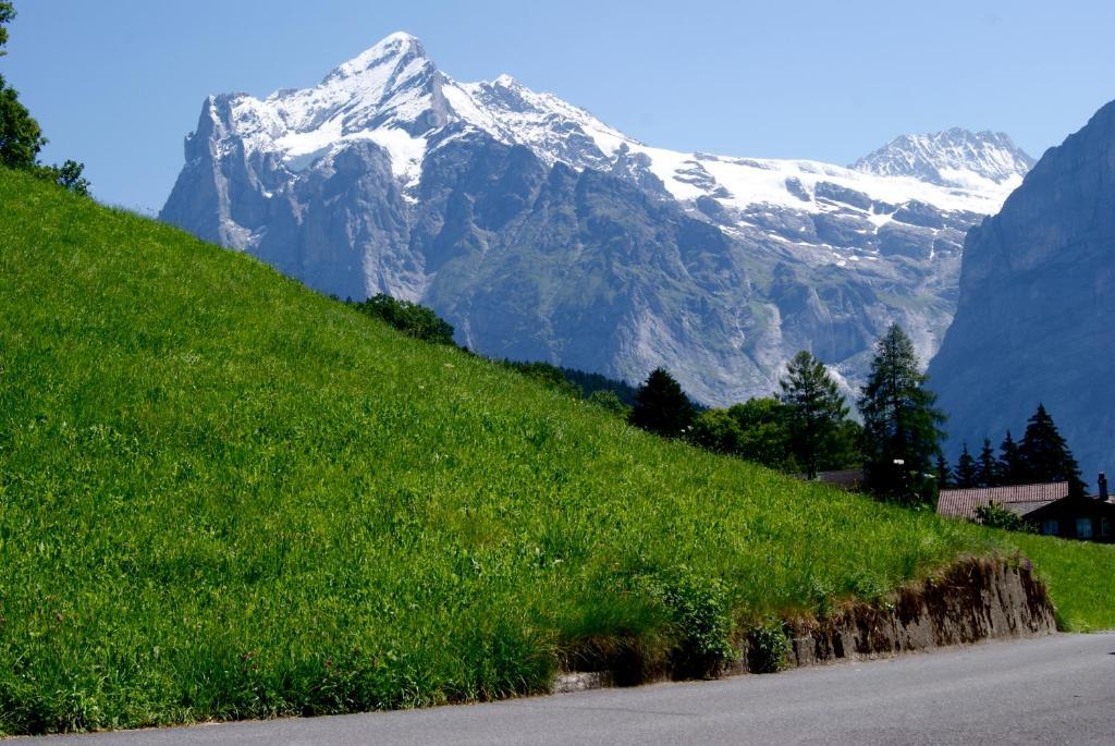 Apartmán Am Eigen Grindelwald Exteriér fotografie