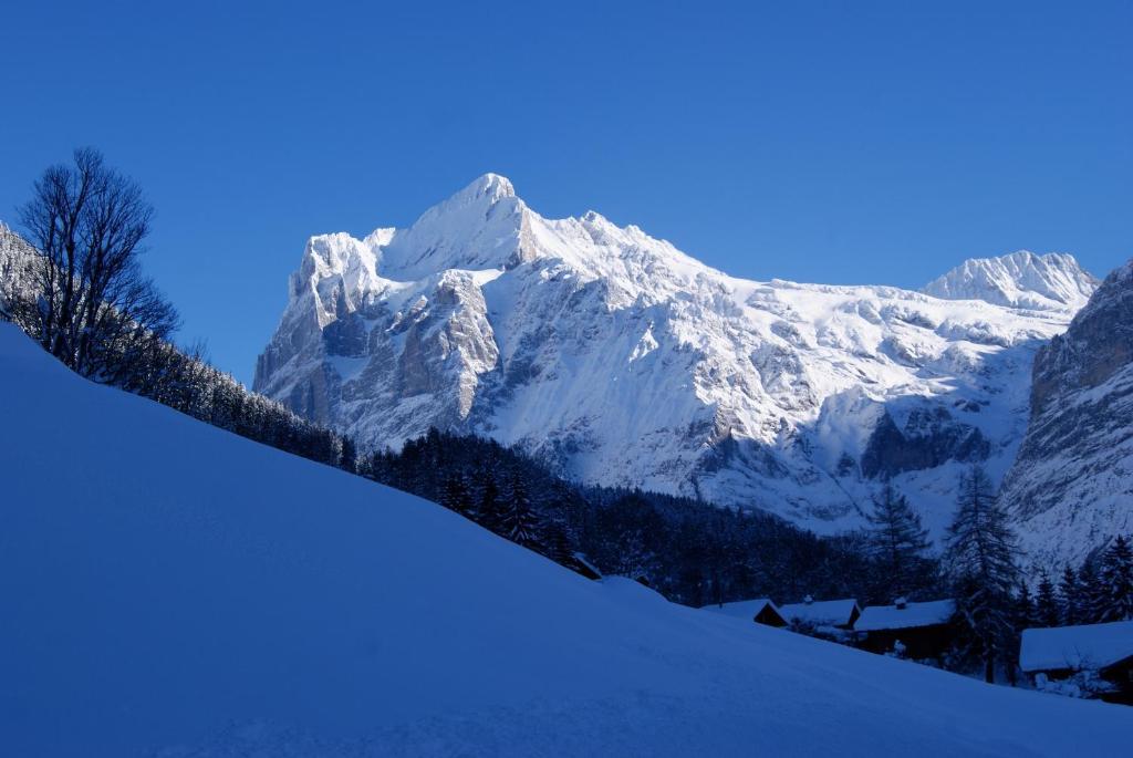 Apartmán Am Eigen Grindelwald Exteriér fotografie