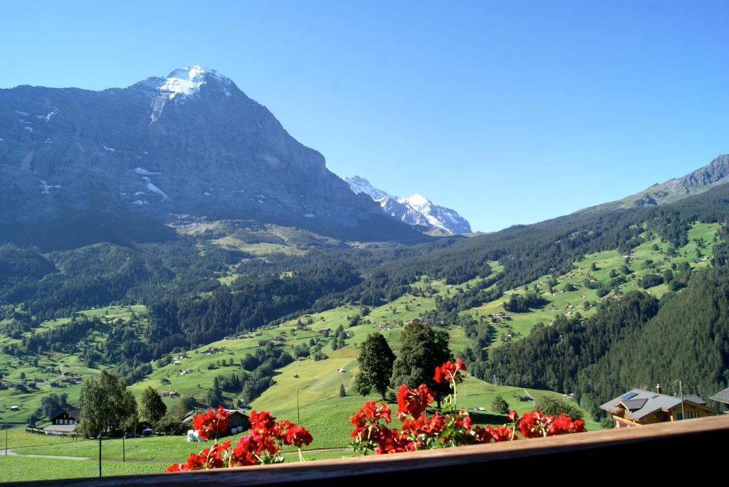 Apartmán Am Eigen Grindelwald Exteriér fotografie